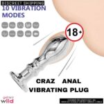 CRAZ Unisex Stainless Steel Anal Plug 1